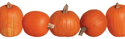 Pumpkins Photo Border